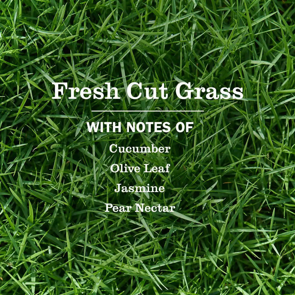 Fresh Cut Grass Plug in Scented Oil Warmer With Refill