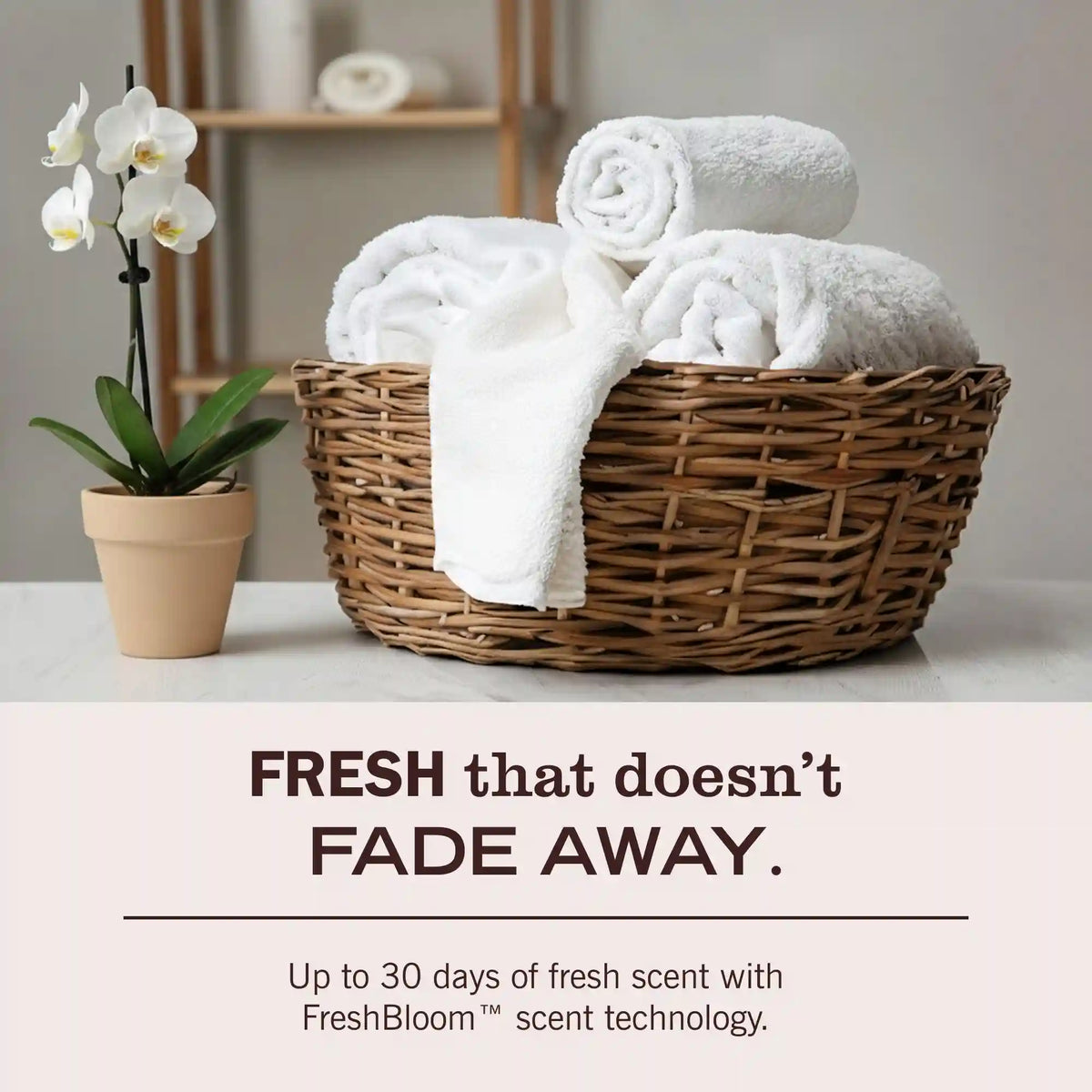 Compassion Flower Laundry Detergent