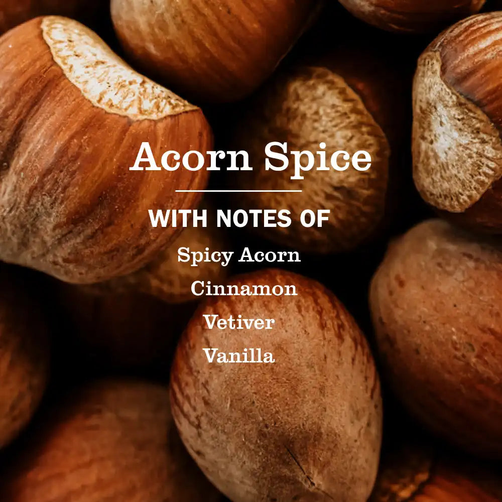 Acorn Spice Room Freshener