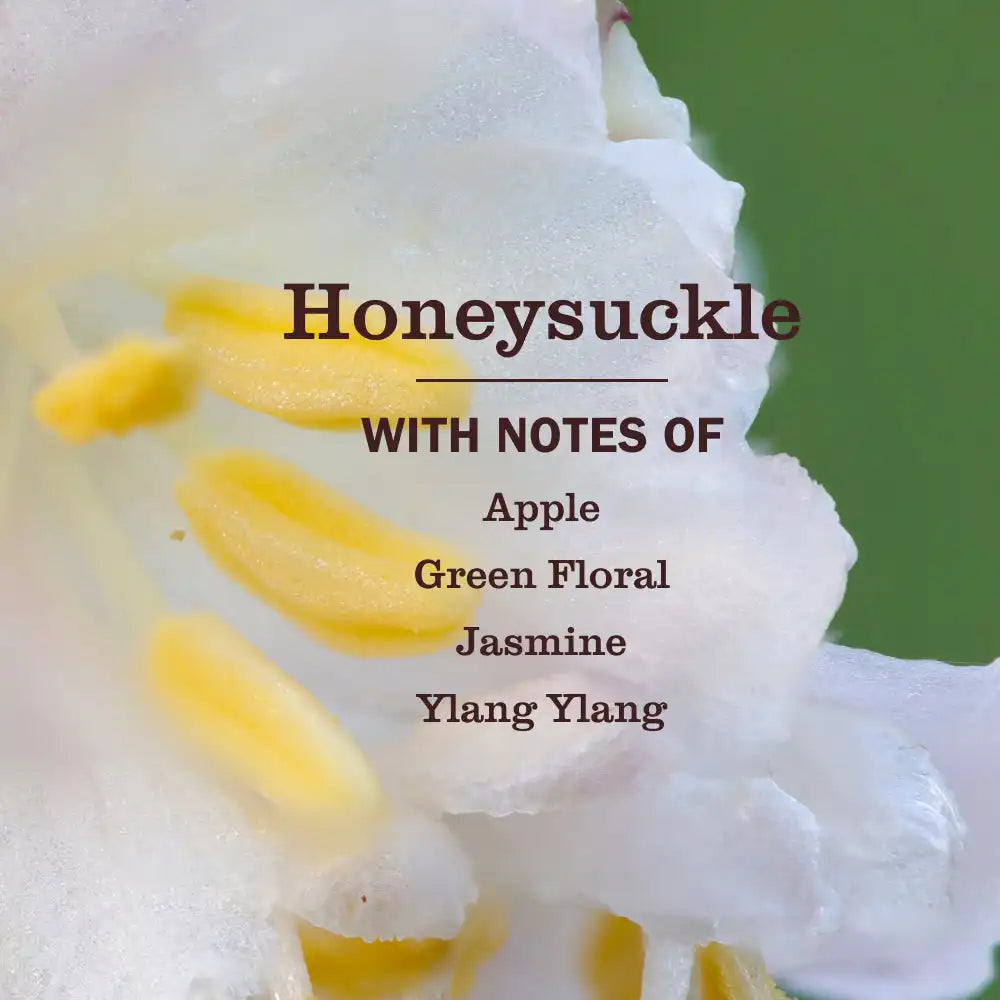 Honeysuckle Liquid Hand Soap & Refill Set