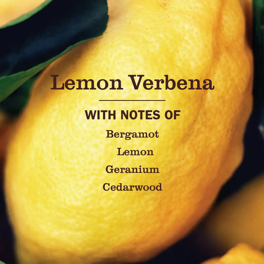 Lemon Verbena Kitchen Basics Set