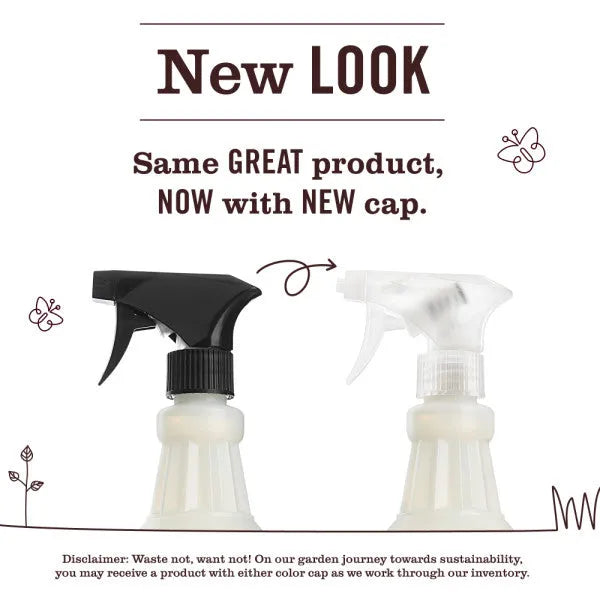 Spring Seasonal Multi-Surface Everyday Cleaner Collection
