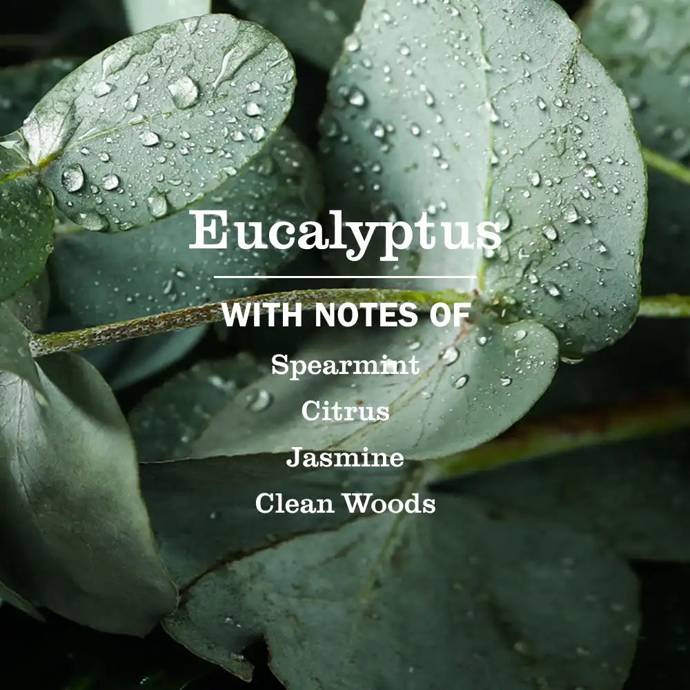 Eucalyptus Liquid Hand Soap