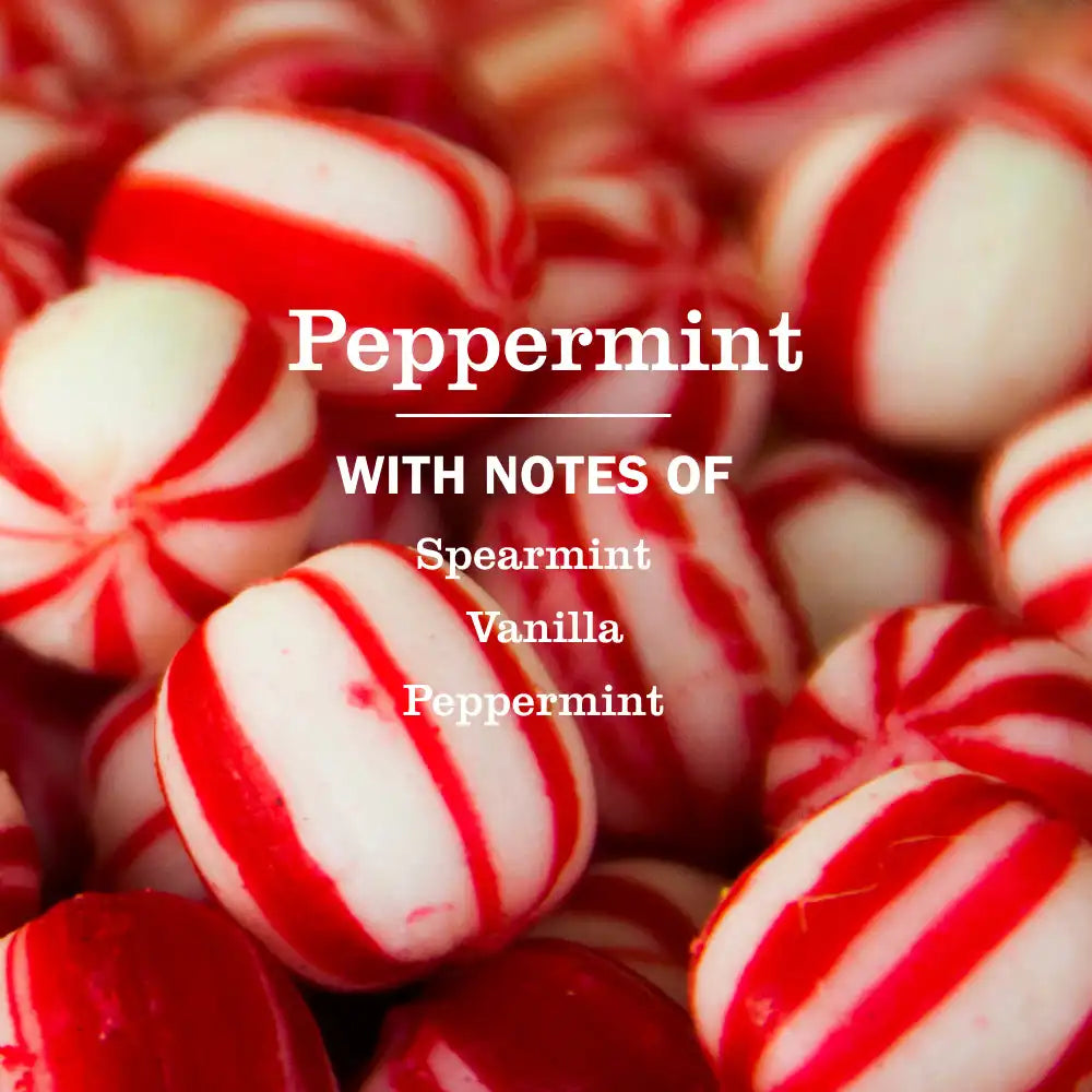Peppermint Liquid Hand Soap 3-count Bundle