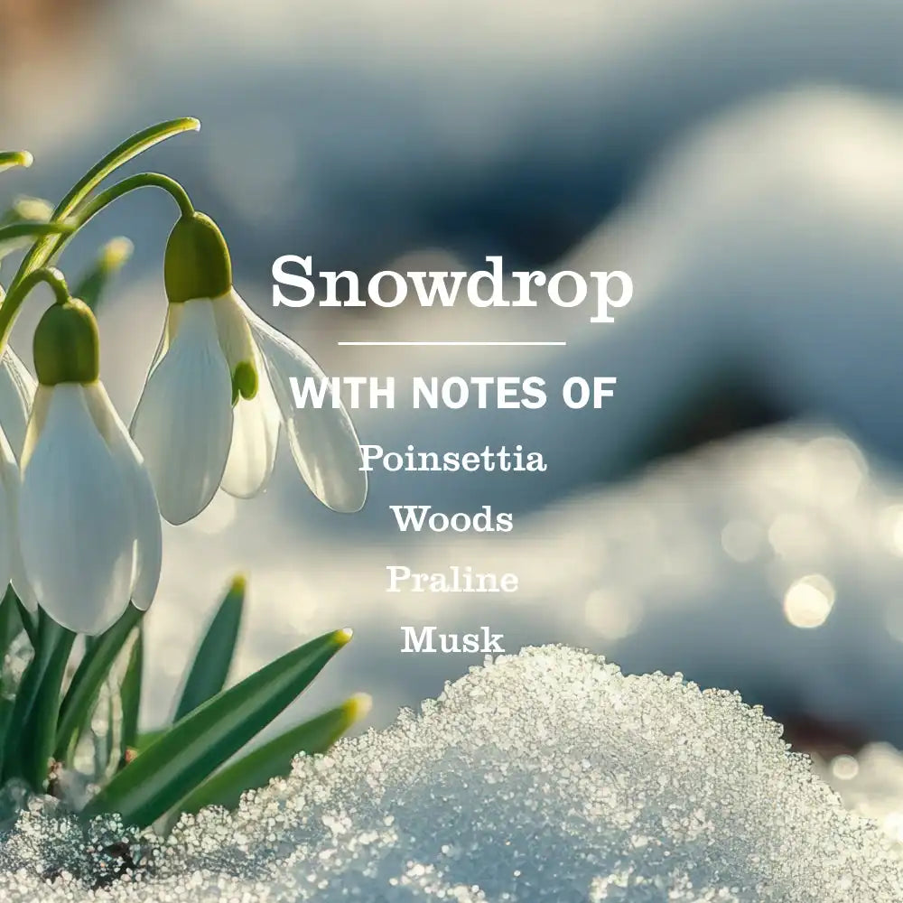 Snowdrop Hand Lotion
